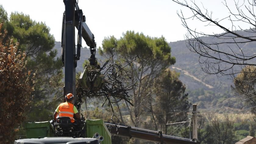 Despliegan un centenar y medio de vehículos y equipos pesados para impulsar la recuperación en la Sierra Oeste tras los incendios estivales.